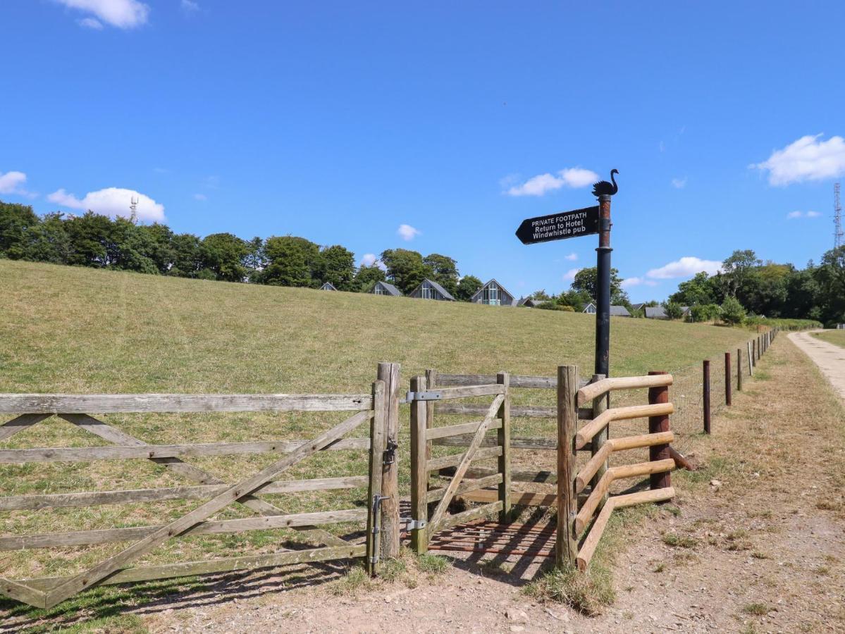 Swandown, 20 Poldon Villa Chard Luaran gambar